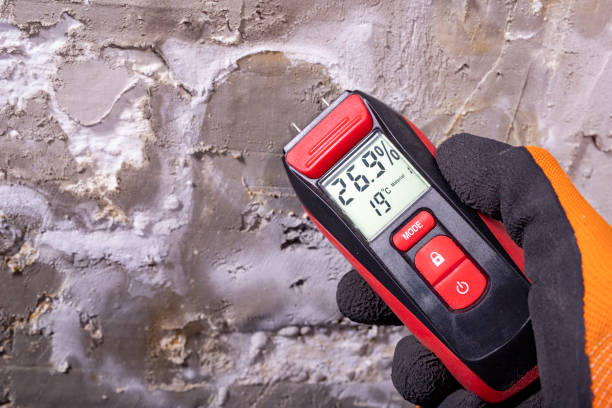 Best Emergency Mold Remediation in Taft, CA
