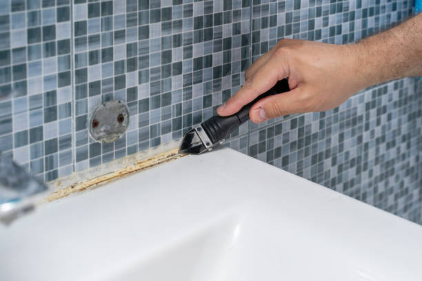  Taft, CA Mold Removal Pros