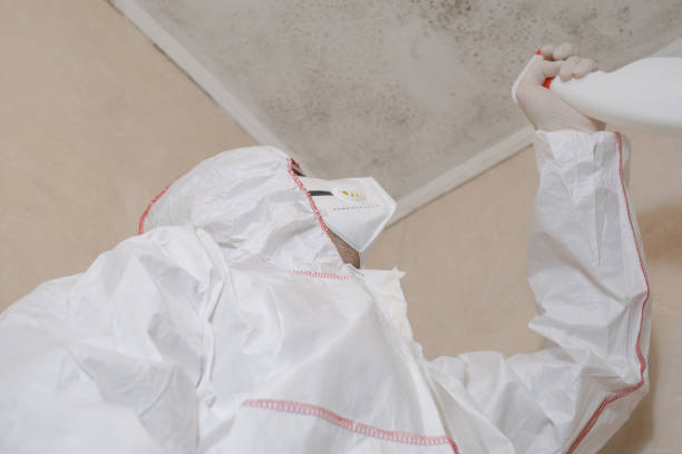 Best Mold Remediation for Specific Building Types in Taft, CA